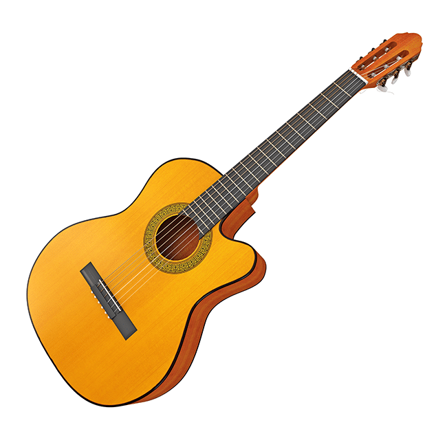 Guitare acoustique