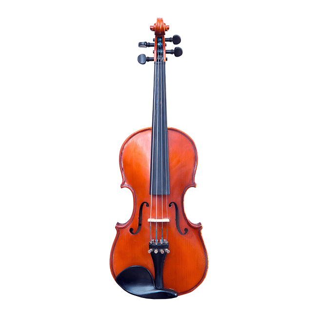 Violon